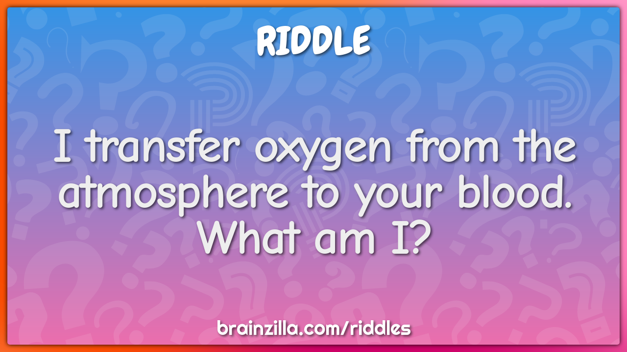 I transfer oxygen from the atmosphere to your blood. What am I?