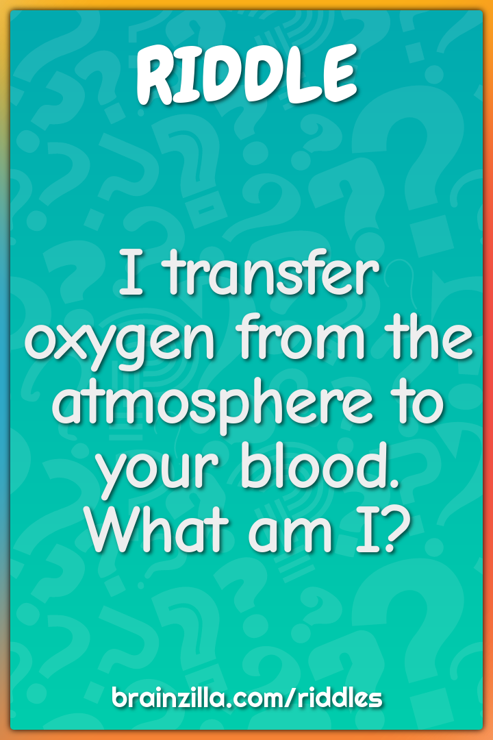 I transfer oxygen from the atmosphere to your blood. What am I?