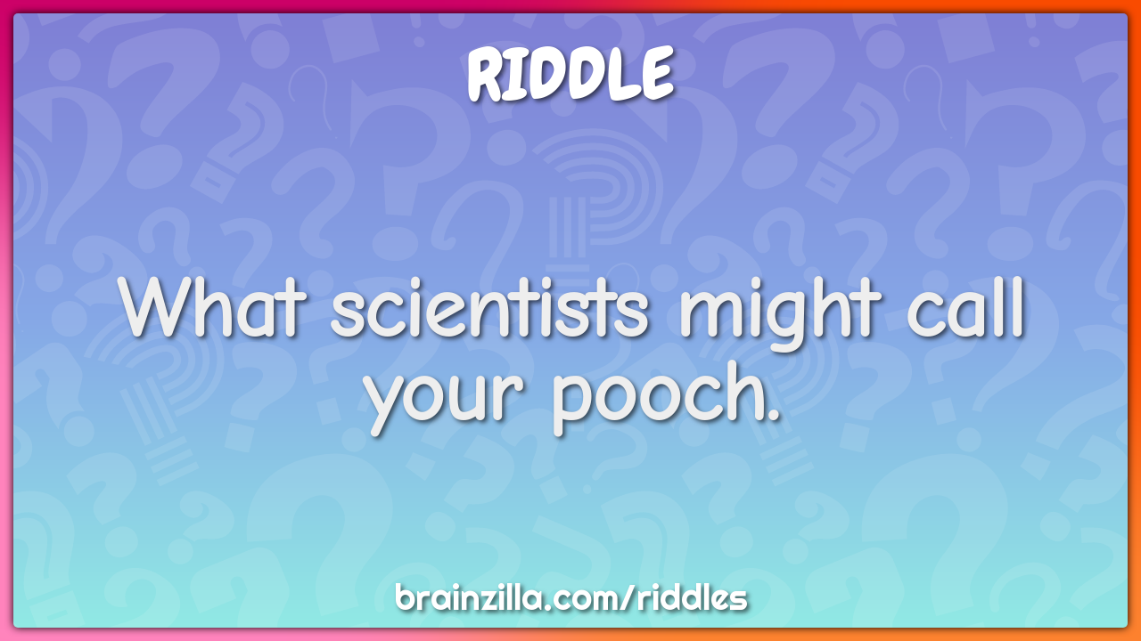 What scientists might call your pooch. - Riddle & Answer - Brainzilla