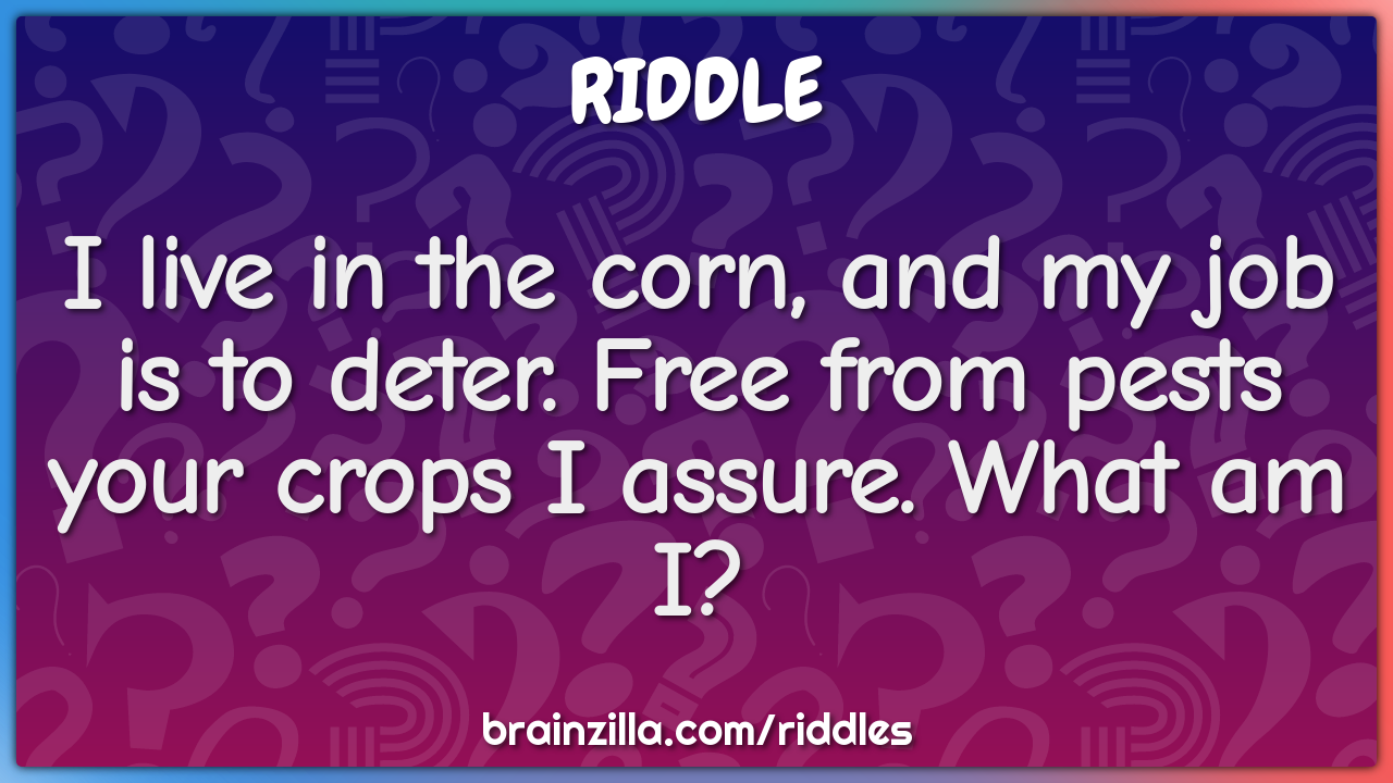 I live in the corn, and my job is to deter. Free from pests your crops...