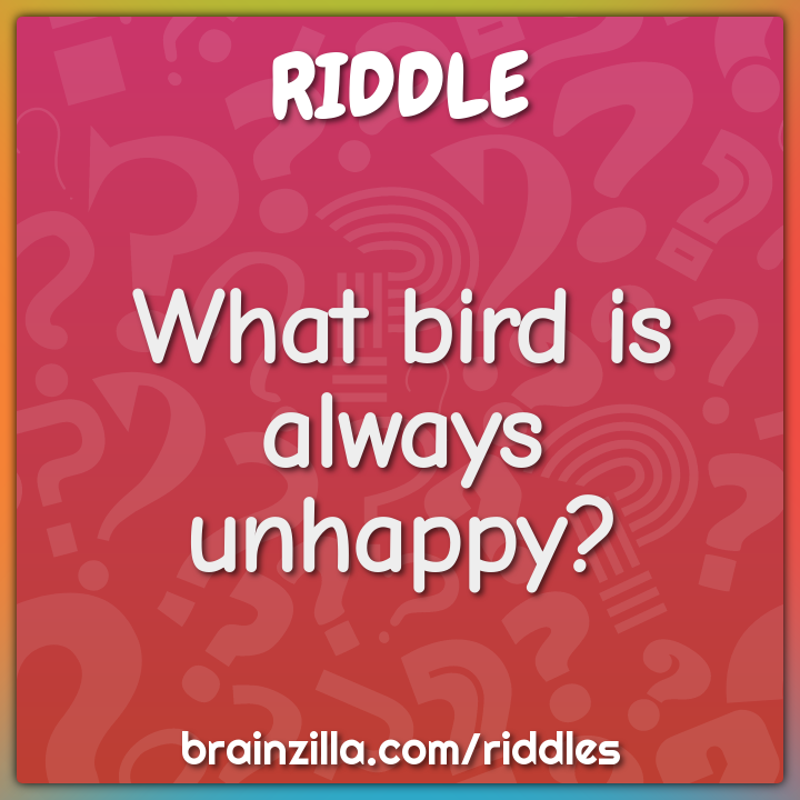 What bird is always unhappy?