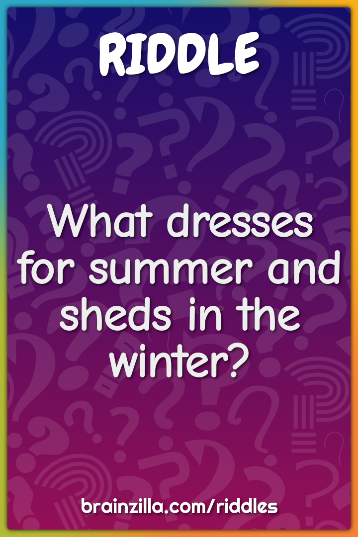 What dresses for summer and sheds in the winter?