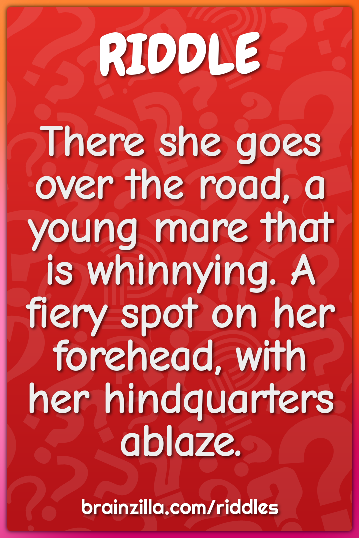 There she goes over the road, a young mare that is whinnying. A fiery...