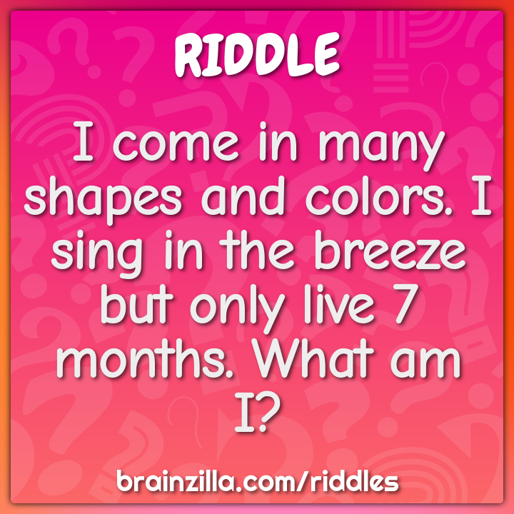 I come in many shapes and colors. I sing in the breeze but only live 7...