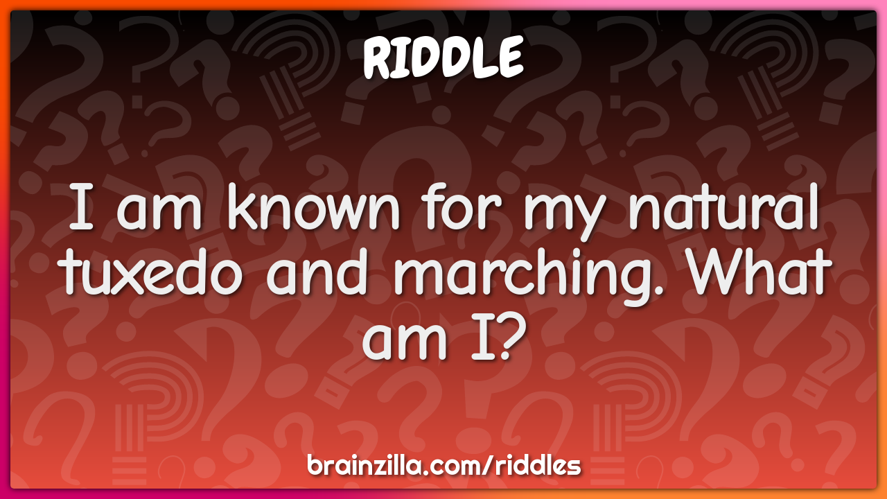 I am known for my natural tuxedo and marching. What am I? - Riddle & Answer  - Brainzilla