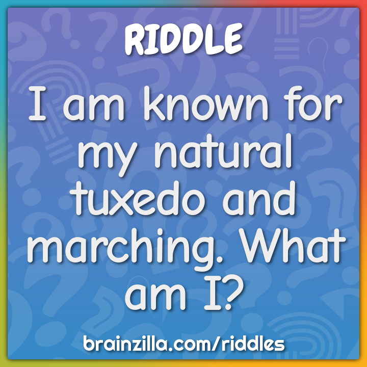 I am known for my natural tuxedo and marching. What am I? - Riddle & Answer  - Brainzilla