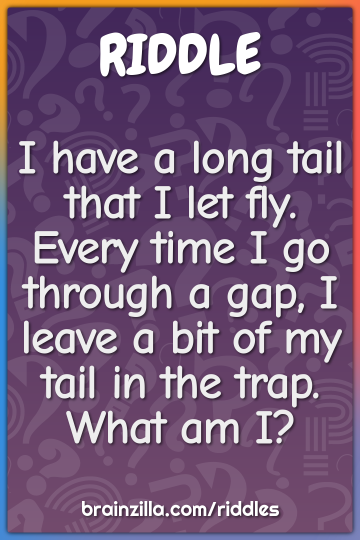 I have a long tail that I let fly. Every time I go through a gap, I...