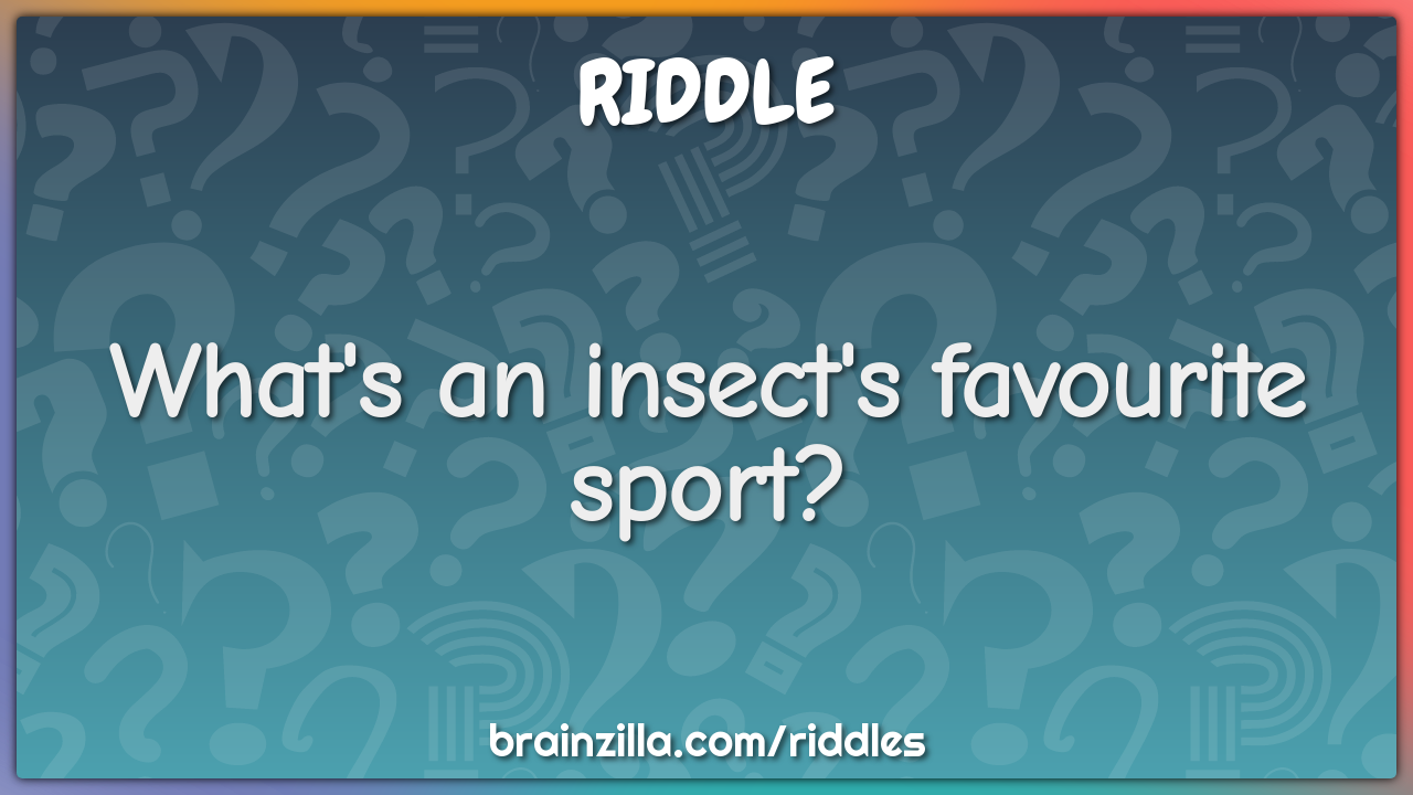 What's an insect's favourite sport?