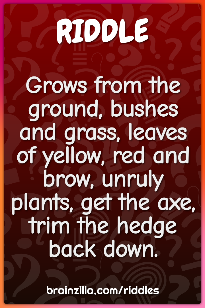 Grows from the ground, bushes and grass, leaves of yellow, red and...