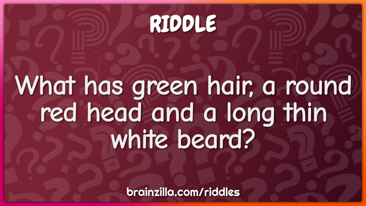 What has green hair, a round red head and a long thin white beard?