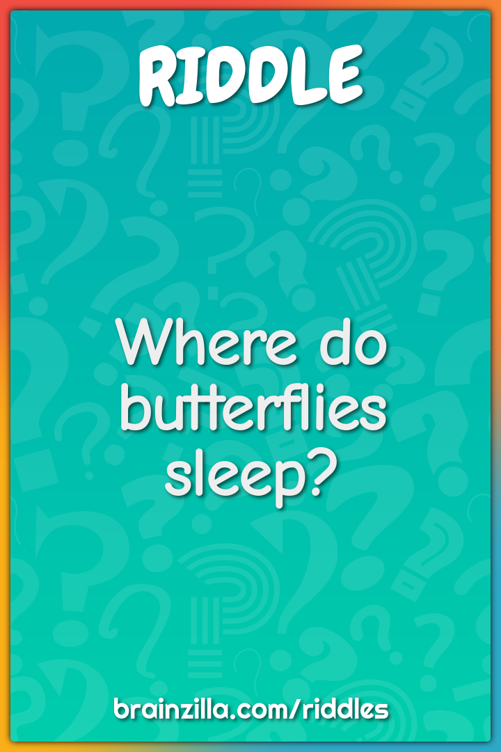 Where do butterflies sleep?