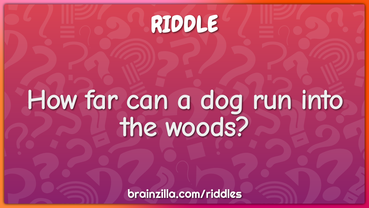 How far can a dog run into the woods?