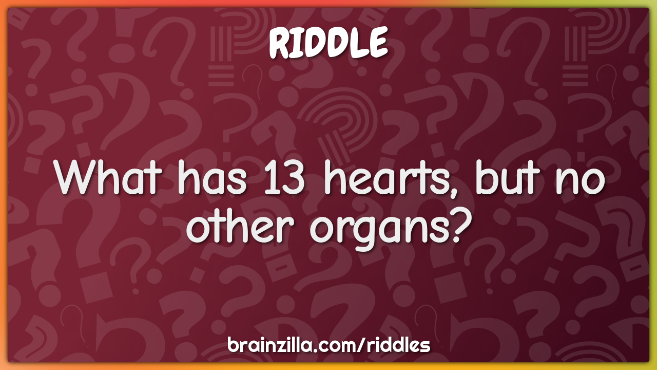 What has 13 hearts, but no other organs?