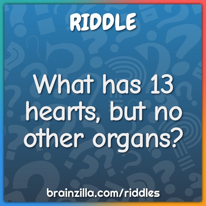 What has 13 hearts, but no other organs?