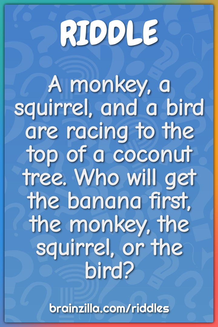A monkey, a squirrel, and a bird are racing to the top of a coconut...