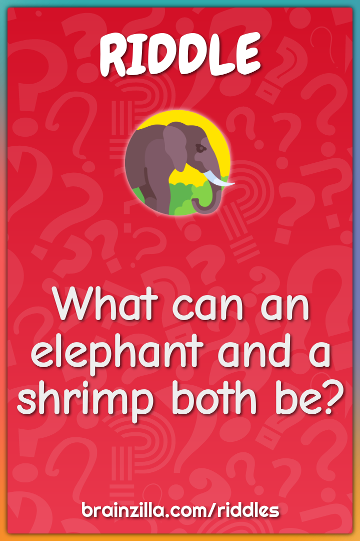 What can an elephant and a shrimp both be?