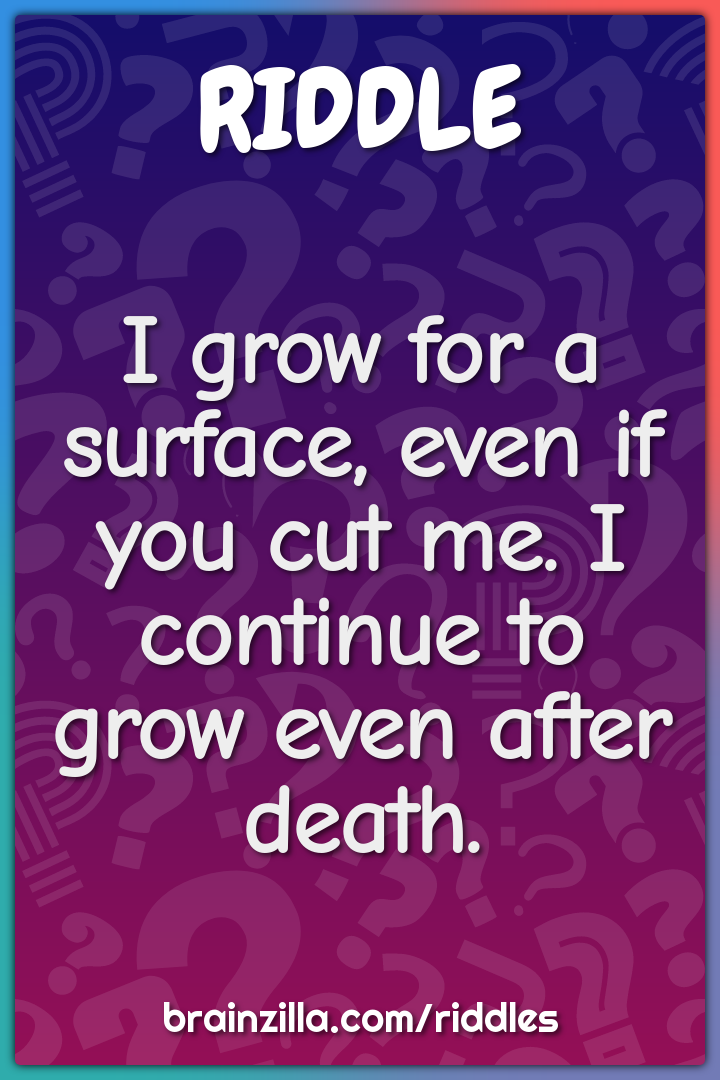 I grow for a surface, even if you cut me. I continue to grow even...