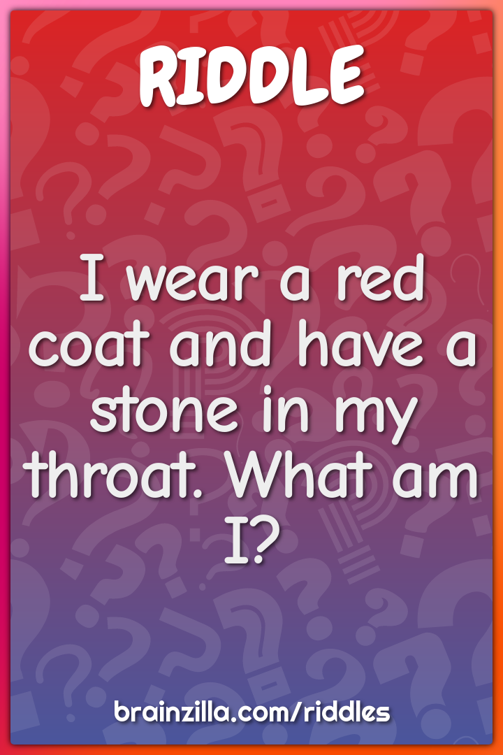 I wear a red coat and have a stone in my throat.
