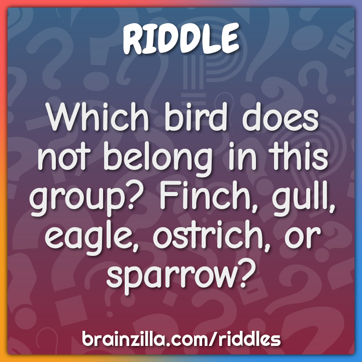 Which bird does not belong in this group? Finch, gull, eagle, ostrich,...