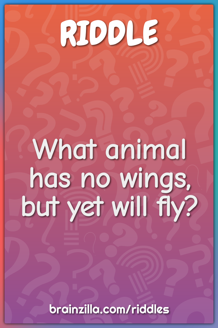 What animal has no wings, but yet will fly? - Riddle & Answer - Brainzilla