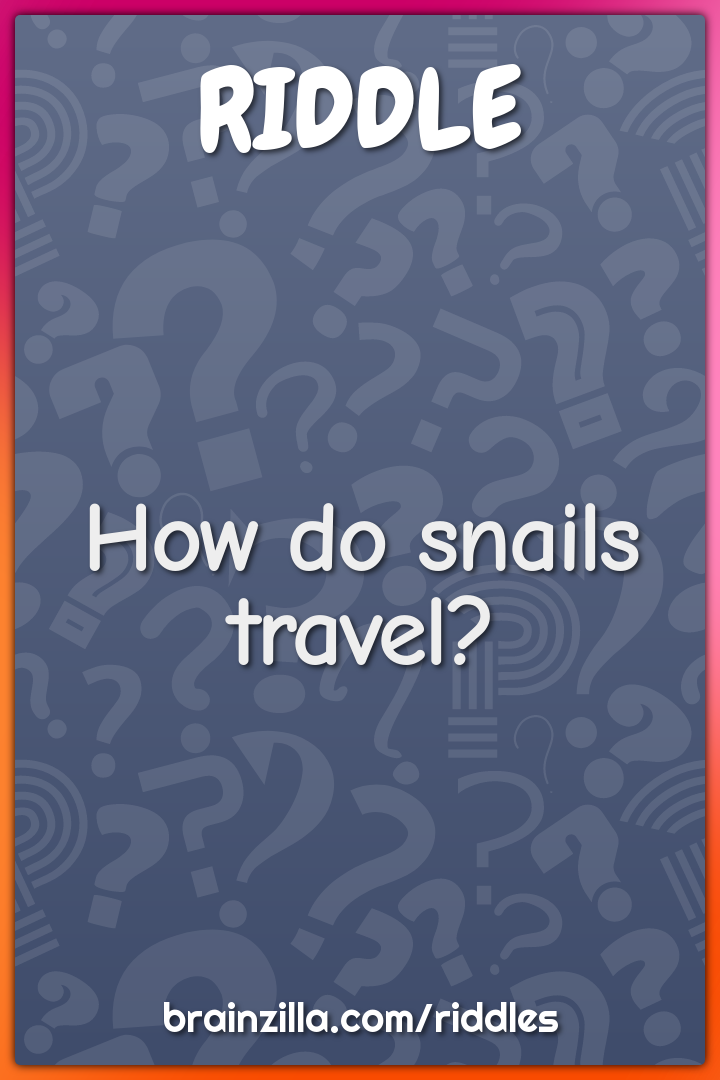 How do snails travel?