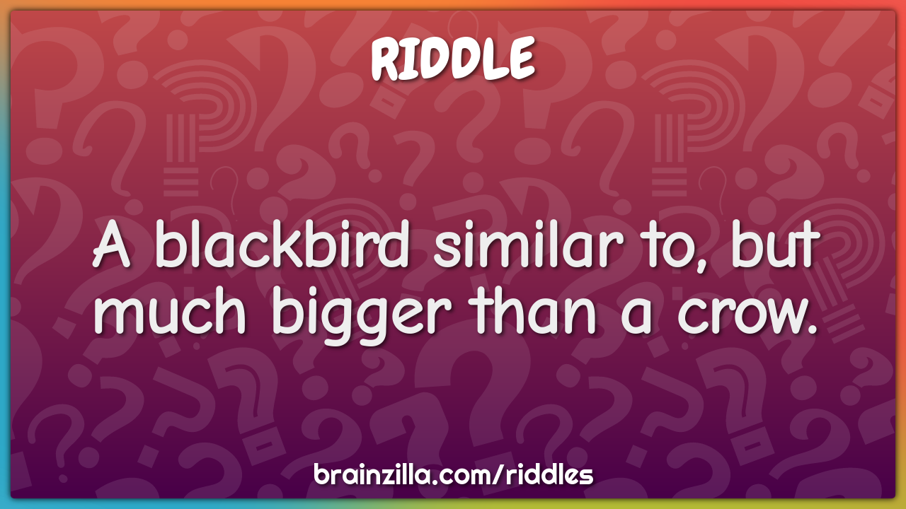 A blackbird similar to, but much bigger than a crow.