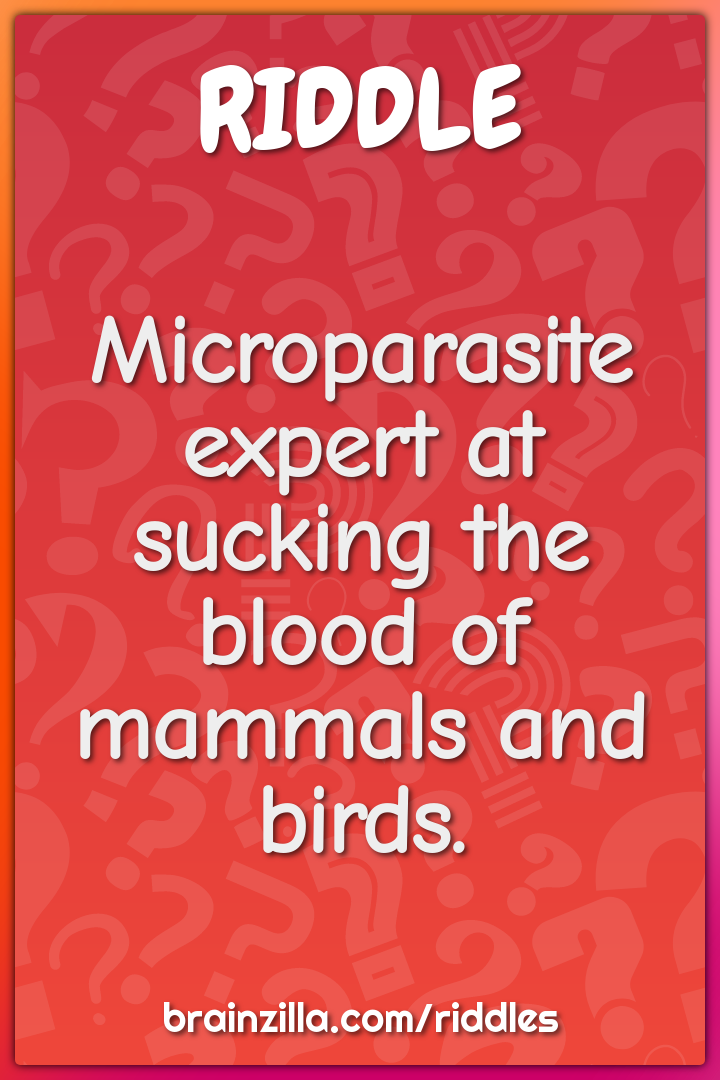 Microparasite expert at sucking the blood of mammals and birds.