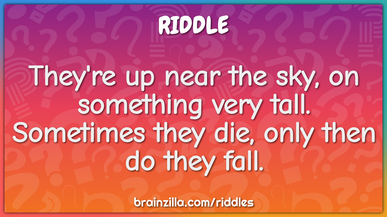They're up near the sky, on something very tall. Sometimes they die,...