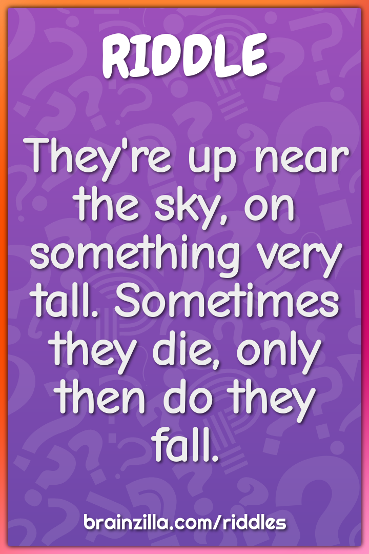 They're up near the sky, on something very tall. Sometimes they die,...