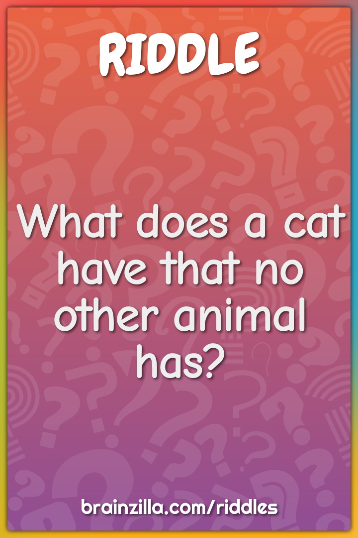 What does a cat have that no other animal has?