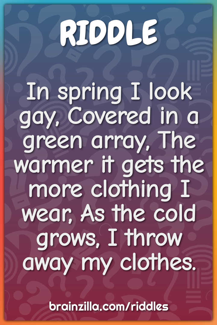 In spring I look gay, Covered in a green array, The warmer it gets the...