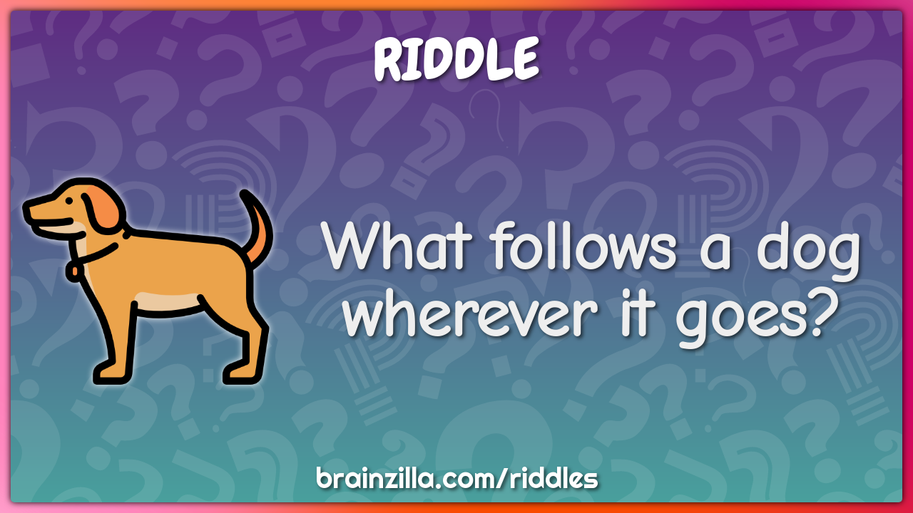 What follows a dog wherever it goes?