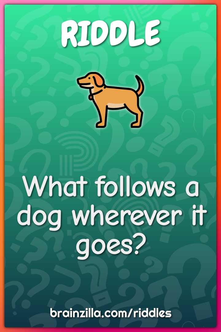 What follows a dog wherever it goes?