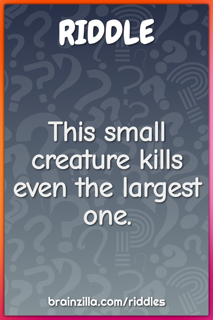 This small creature kills even the largest one.