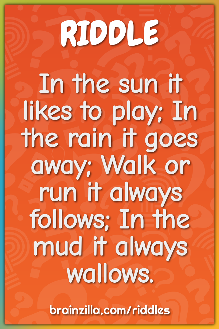 In the sun it likes to play; In the rain it goes away; Walk or run it...