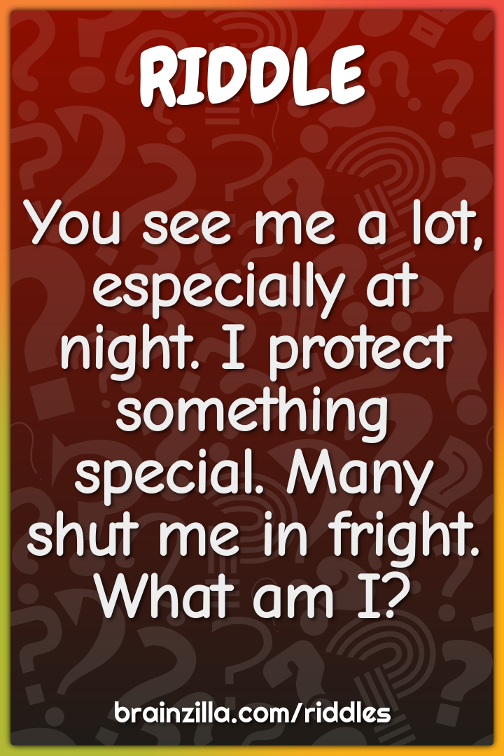 You see me a lot, especially at night. I protect something special....