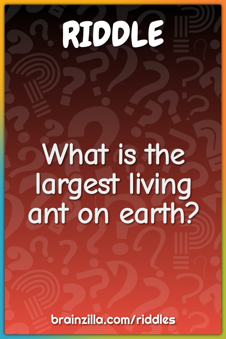 What is the largest living ant on earth?