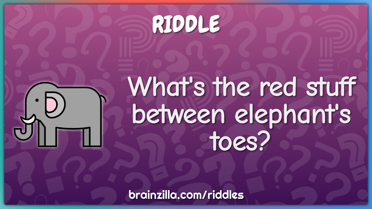 What's the red stuff between elephant's toes?
