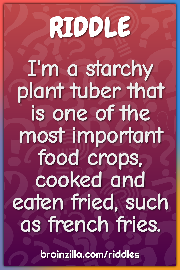 I'm a starchy plant tuber that is one of the most important food...
