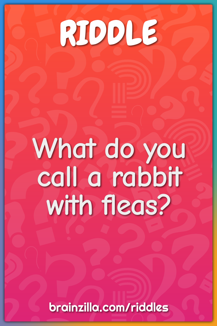 What do you call a rabbit with fleas?