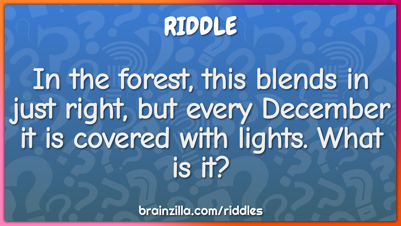 In the forest, this blends in just right, but every December it is...