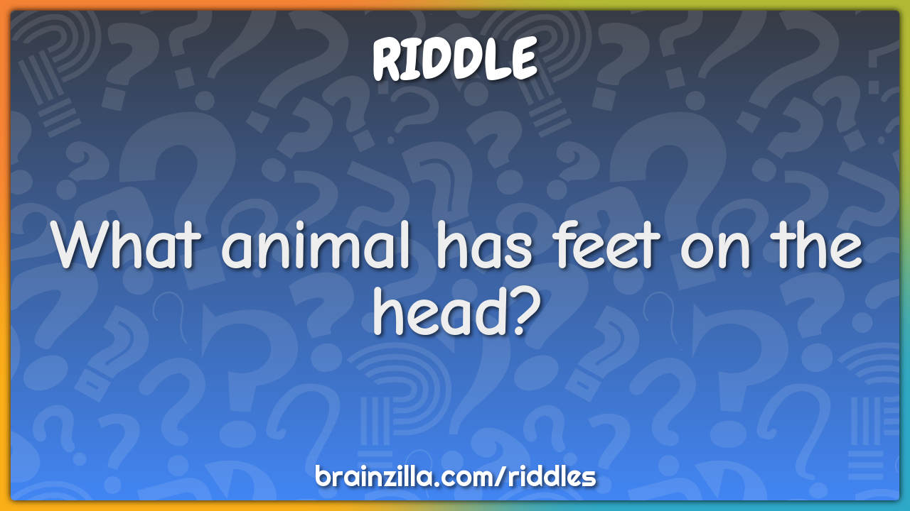 What animal has feet on the head? - Riddle & Answer - Brainzilla