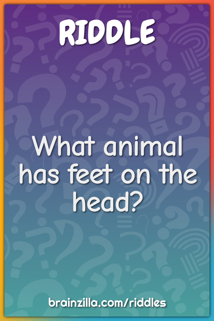 What animal has feet on the head? - Riddle & Answer - Brainzilla