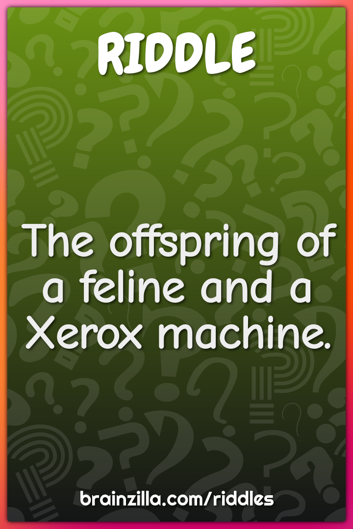 The offspring of a feline and a Xerox machine.
