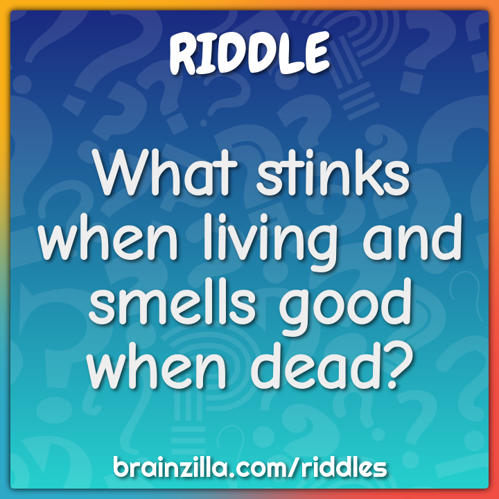 What stinks when living and smells good when dead?