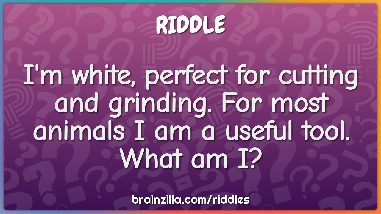I'm white, perfect for cutting and grinding. For most animals I am a...
