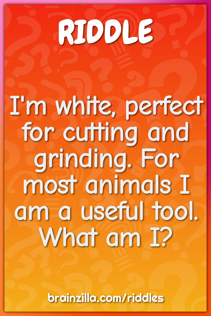 I'm white, perfect for cutting and grinding. For most animals I am a...