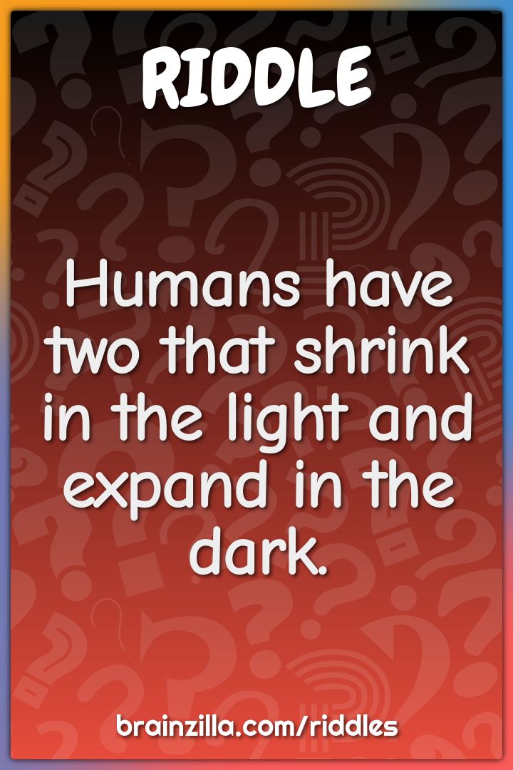 Humans have two that shrink in the light and expand in the dark.