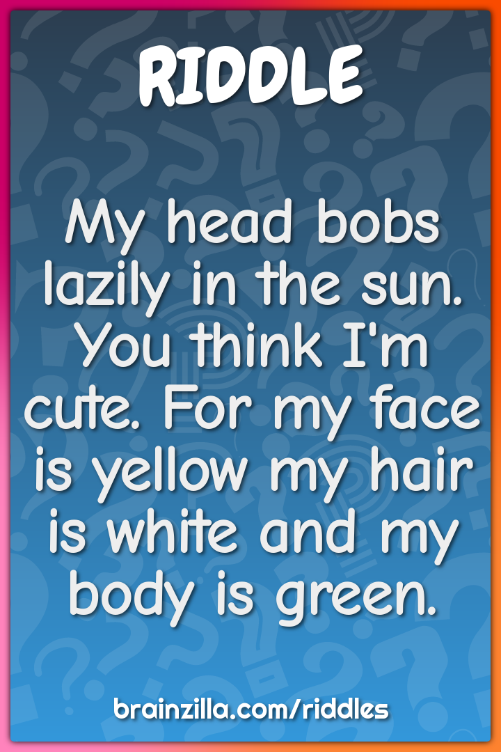 My head bobs lazily in the sun. You think I'm cute. For my face is...