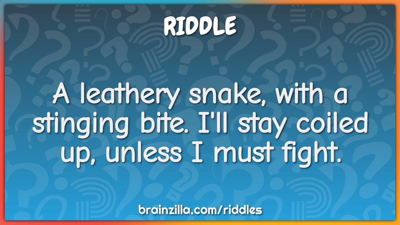 A leathery snake, with a stinging bite. I'll stay coiled up, unless I...